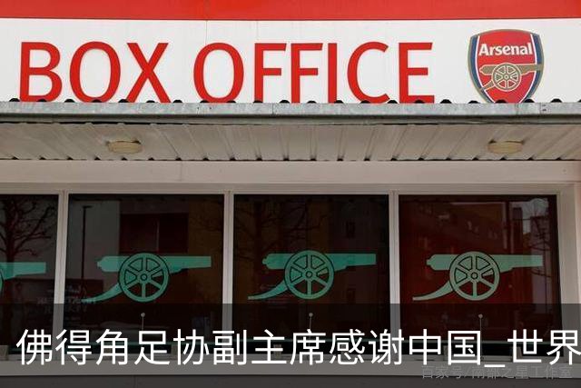佛得角足协副主席感谢中国 世界杯后将安排与国足友谊赛