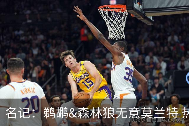 名记：鹈鹕&森林狼无意莫兰特 热火也不急于尝试其与字母哥的搭档