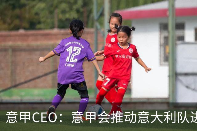 意甲CEO：意甲会推动意大利队进步 国家队低迷原因得追溯到20年前
