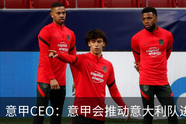 意甲CEO：意甲会推动意大利队进步 国家队低迷原因得追溯到20年前
